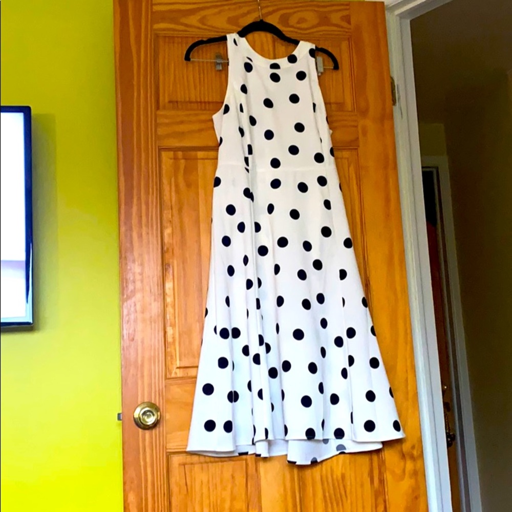 Ann Taylor Polka Dot Sleeveless Dress